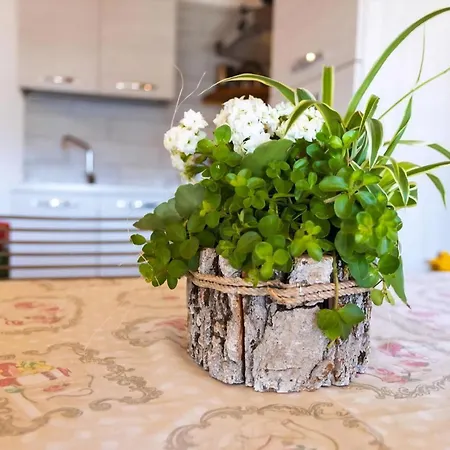 Artu In Vesio Appartement *